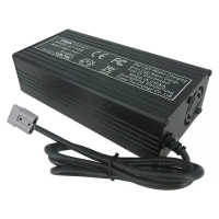 Зарядное устройство для LiFePO4 (LFP) 12 В, 20 А